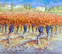 The vineyards of Provence